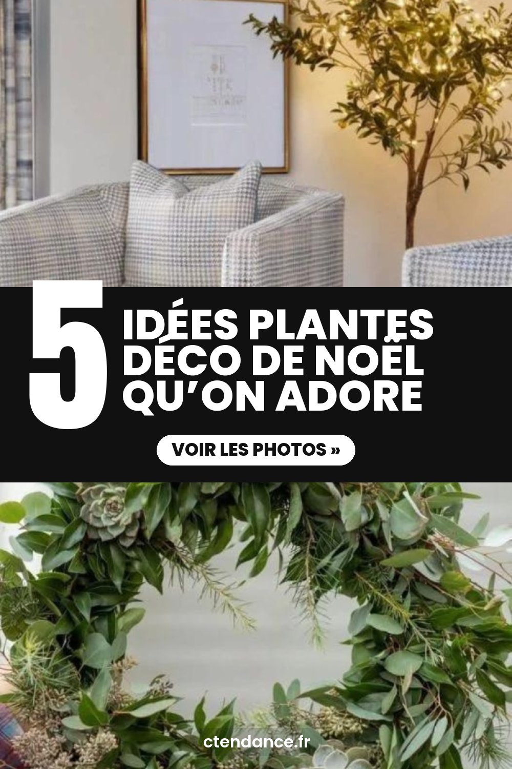 5 idées plantes déco de Noël qu’on adore