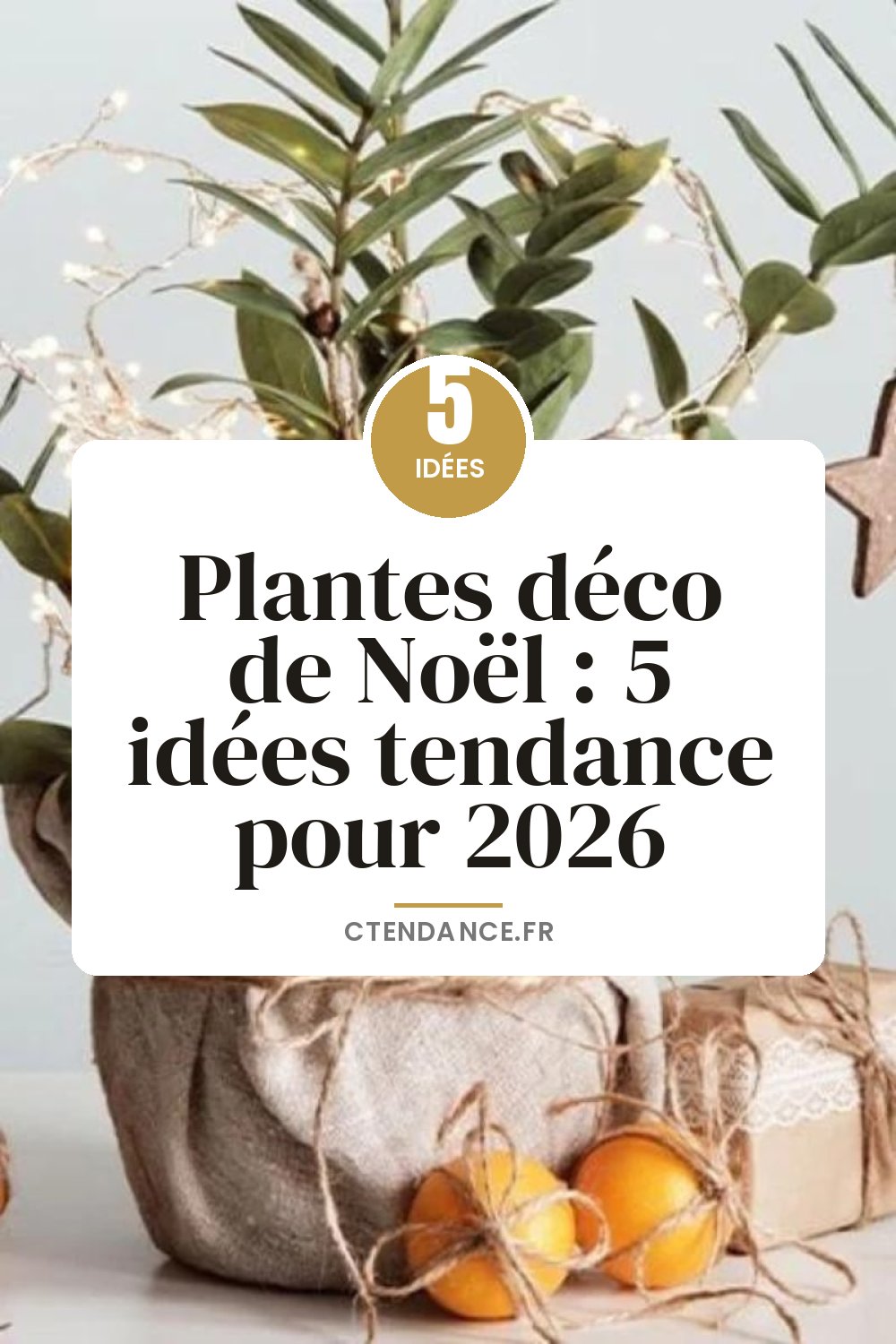 Plantes déco de Noël : 5 idées tendance pour 2026