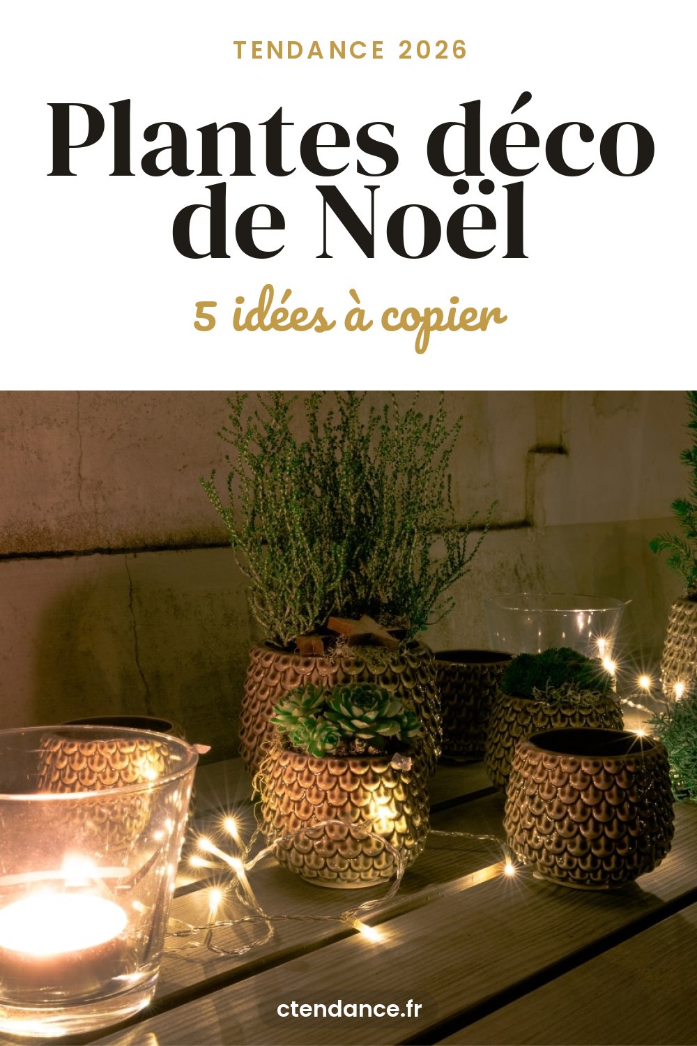 Plantes déco de Noël : 5 idées à copier (2026)