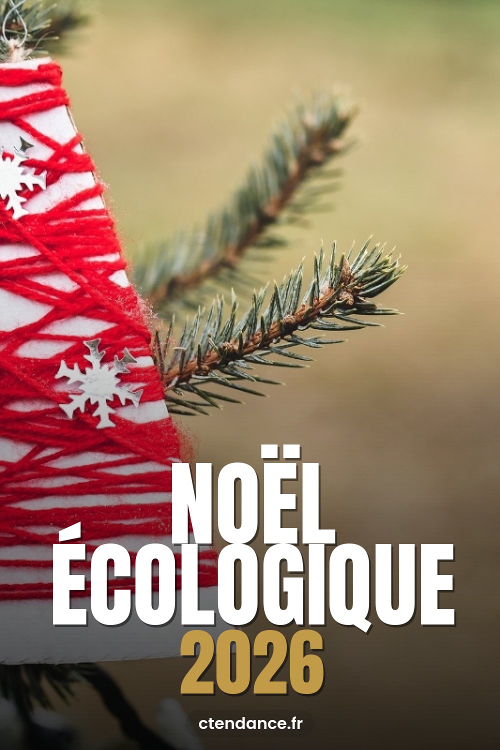 À épingler : Noël écologique : DIY décorations éco-friendly originales et économiques pour un Noël vert !