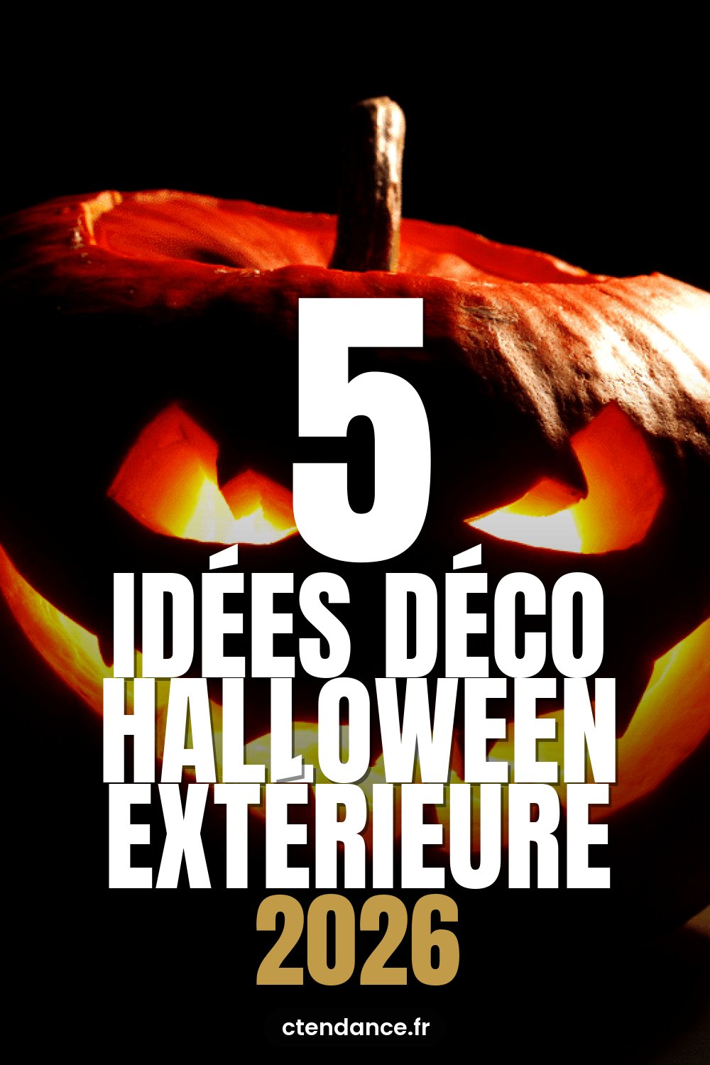 À épingler : Halloween : 5 idées de décoration à faire dans son jardin et devant sa porte de maison !