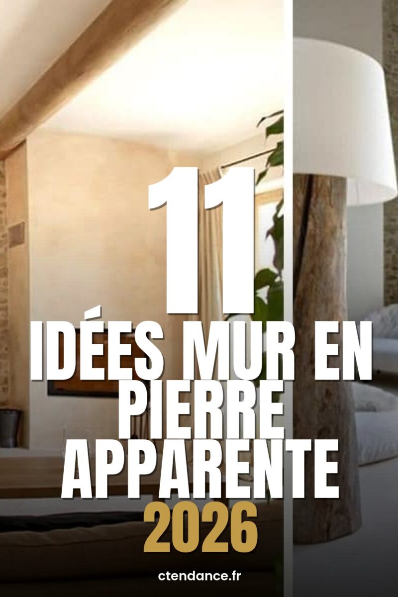 11 idées mur en pierre apparente 2026