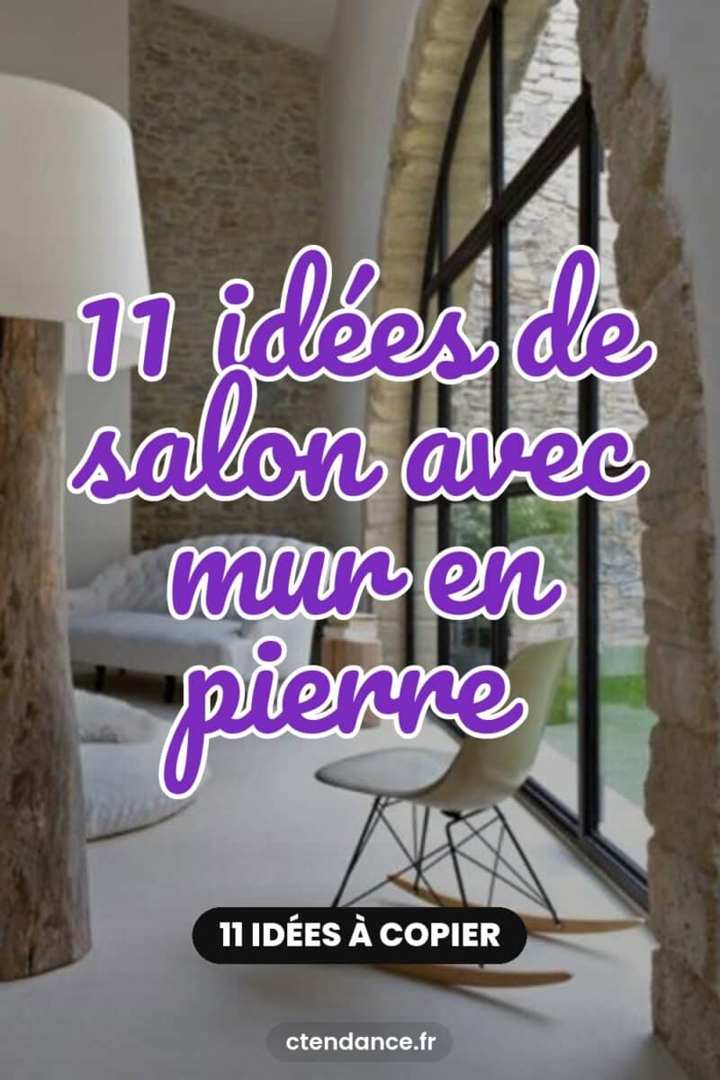11 idées de salon avec mur en pierre