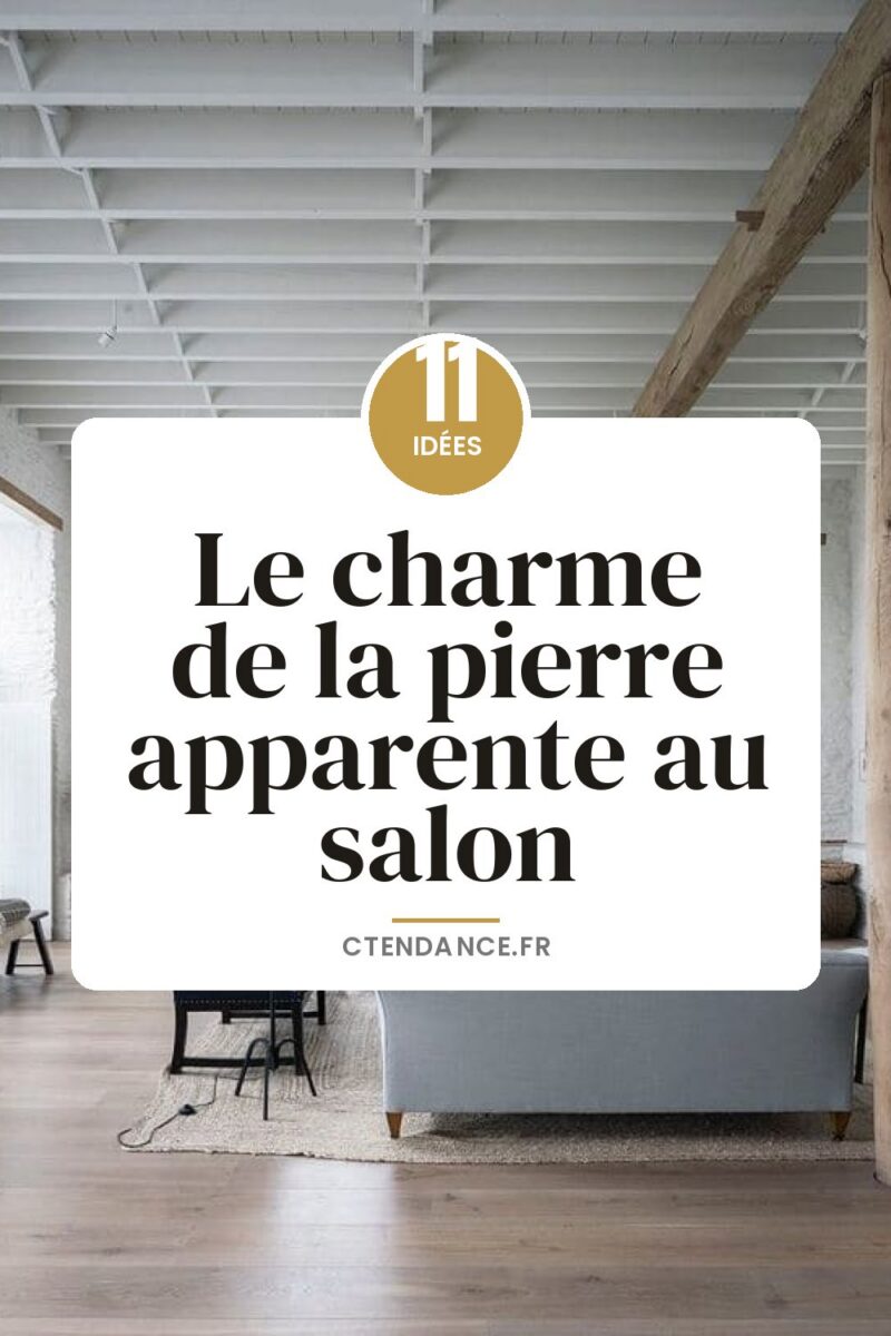 Le charme de la pierre apparente au salon