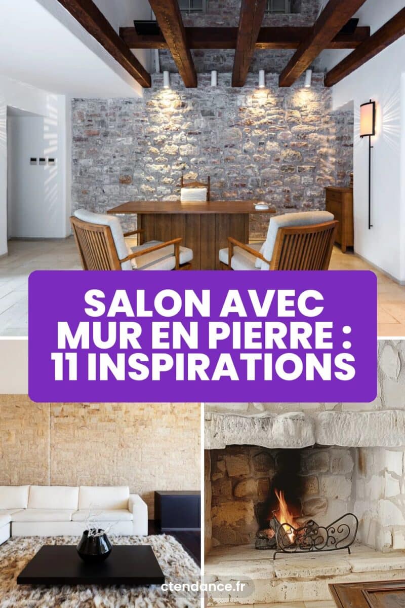 Salon avec mur en pierre : 11 inspirations