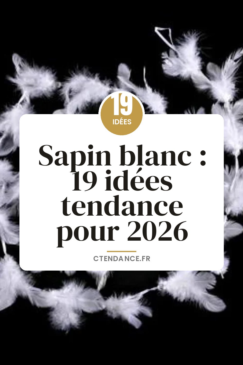 Sapin blanc : 19 idées tendance pour 2026