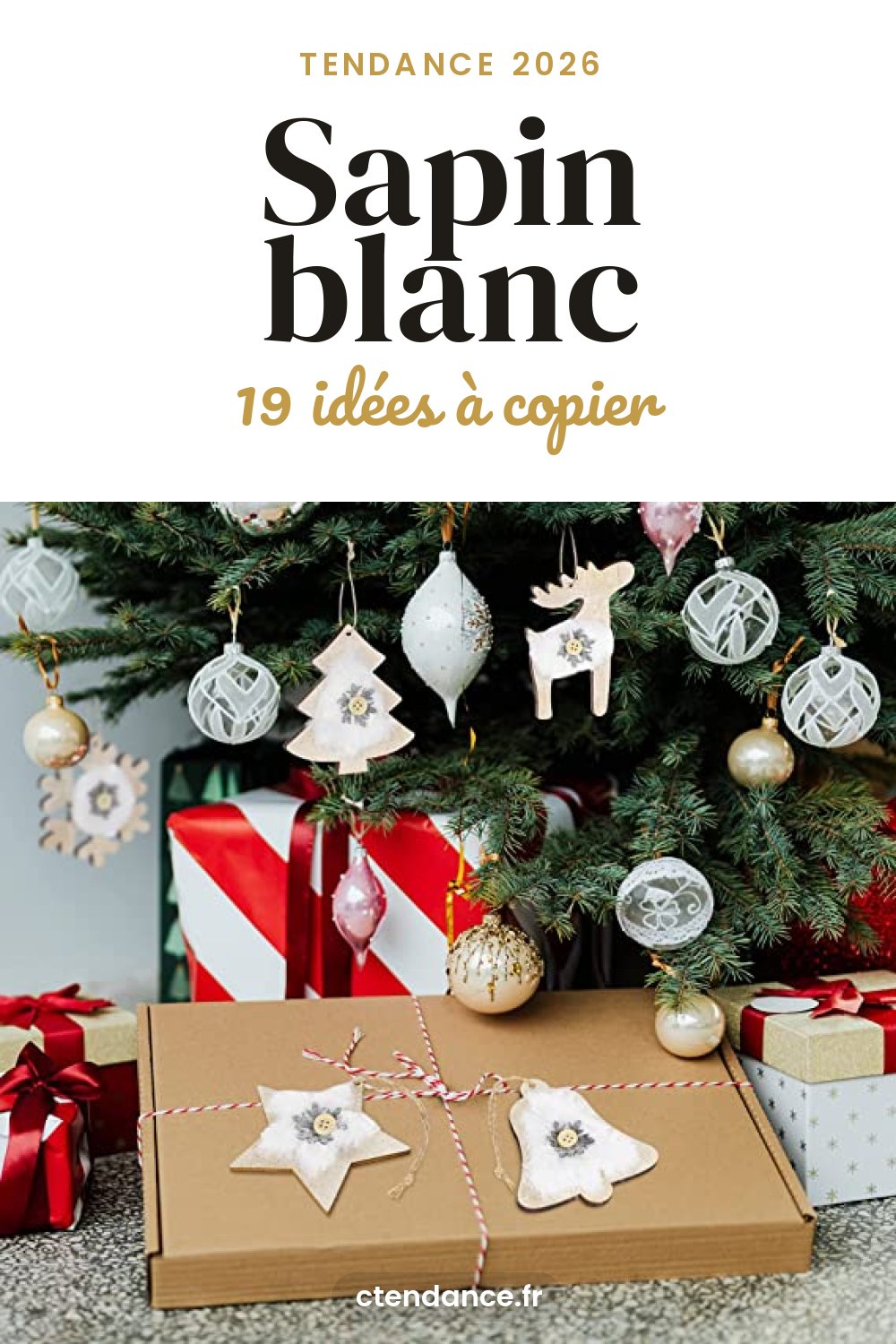 Sapin blanc : 19 idées à copier (2026)